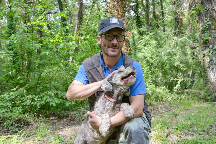 Truffle hunt dog