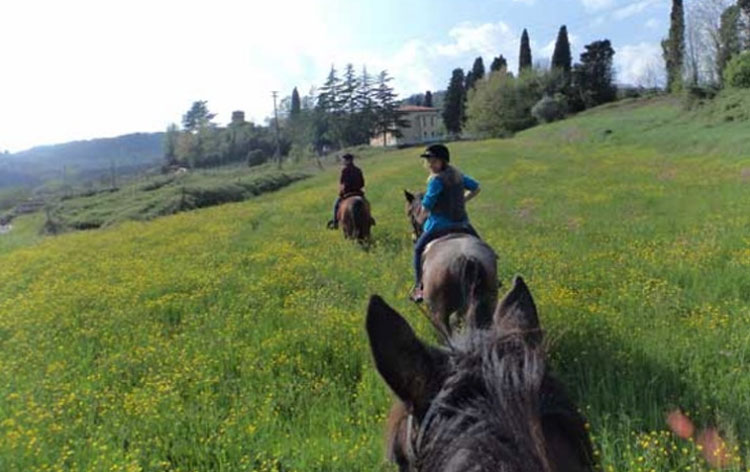 Riding out with Lucca Horseriding