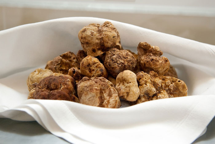 Italian white truffles